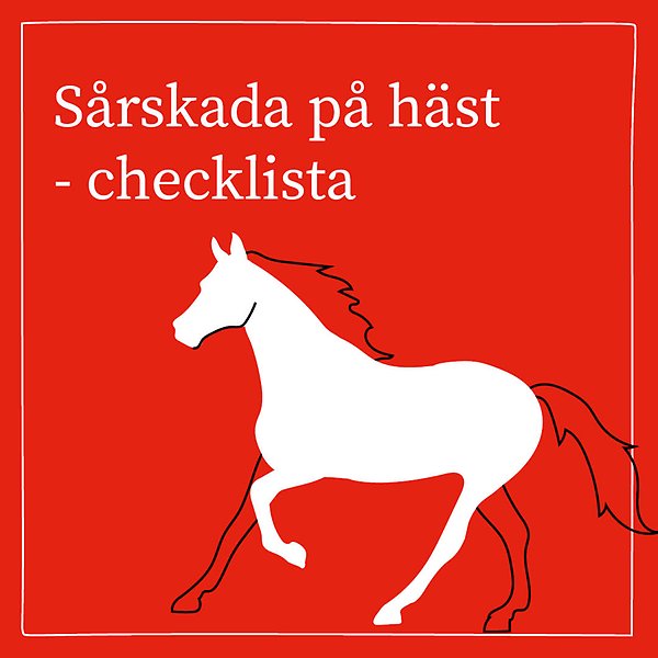 Annonsbild Distriktsveterinärerna "sårskada på häst - checklista".
