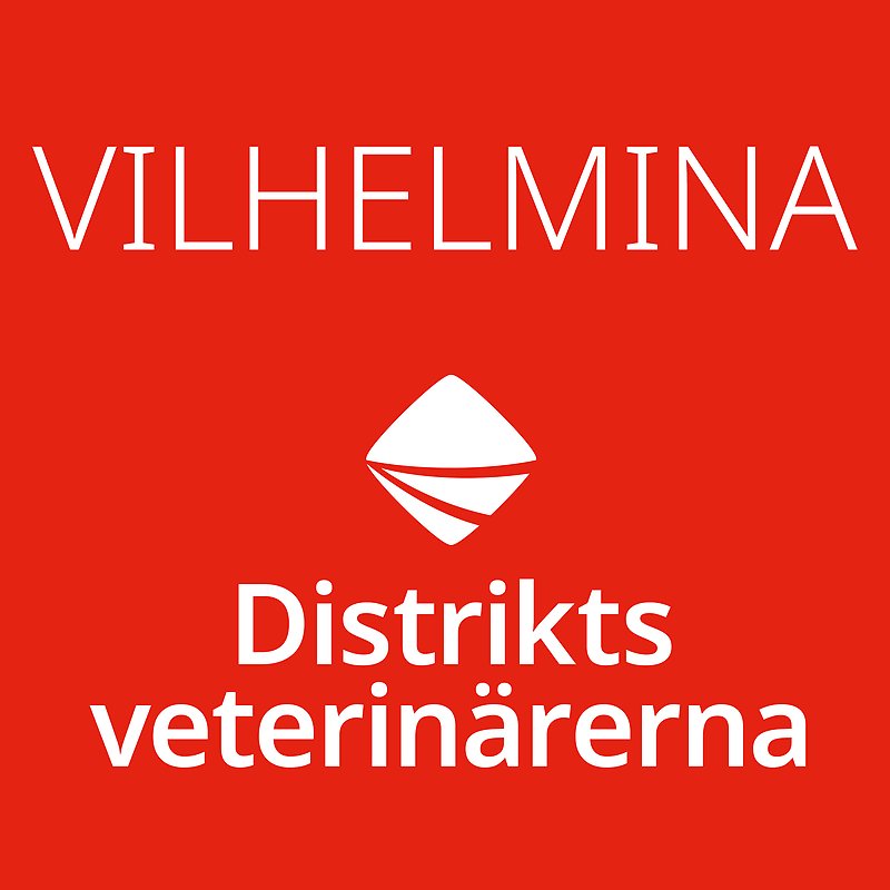 Bild med röd bakgrund och vit ram med Distriktsveterinärernas logo och texten Vilhelmina centrerat i mitten. 