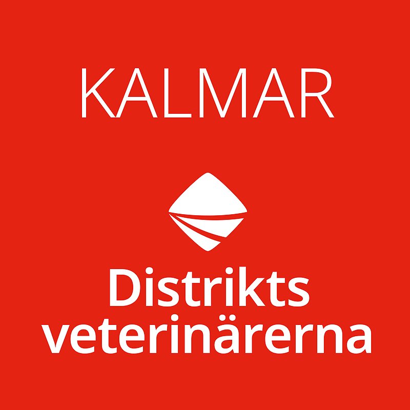 Bild med röd bakgrund och vit ram med Distriktsveterinärernas logo och texten Kalmar centrerat i mitten. 