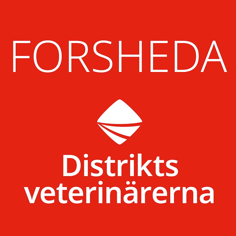 Bild med röd bakgrund och vit ram med Distriktsveterinärernas logo och texten Forsheda centrerat i mitten. 