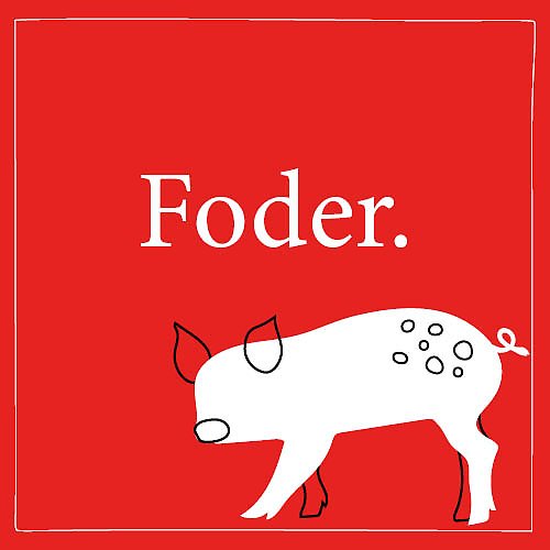 Illustrerad bild med röd bakgrund och en tecknad gris samt texten "Foder".