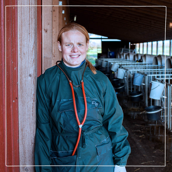 En glad Distriktsveterinär står lutad mot en ladugårdsvägg i skyddskläder och stetoskop.