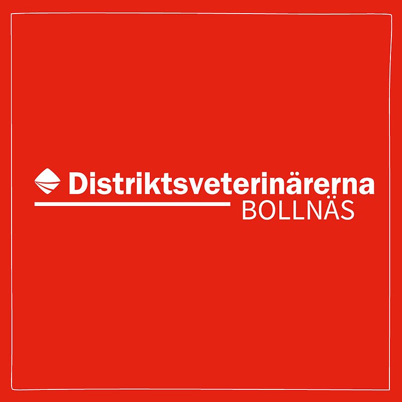 Bild med röd bakgrund och vit ram med Distriktsveterinärernas logo och texten Bollnäs centrerat i mitten. 