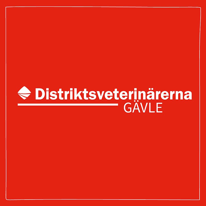 Bild med röd bakgrund och vit ram med Distriktsveterinärernas logo och texten Gävle centrerat i mitten. 