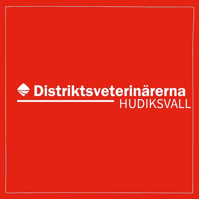 Bild med röd bakgrund och vit ram med Distriktsveterinärernas logo och texten Hudiksvall centrerat i mitten. 