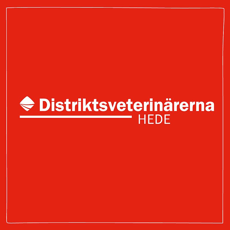 Bild med röd bakgrund och vit ram med Distriktsveterinärernas logo och texten Hede centrerat i mitten. 