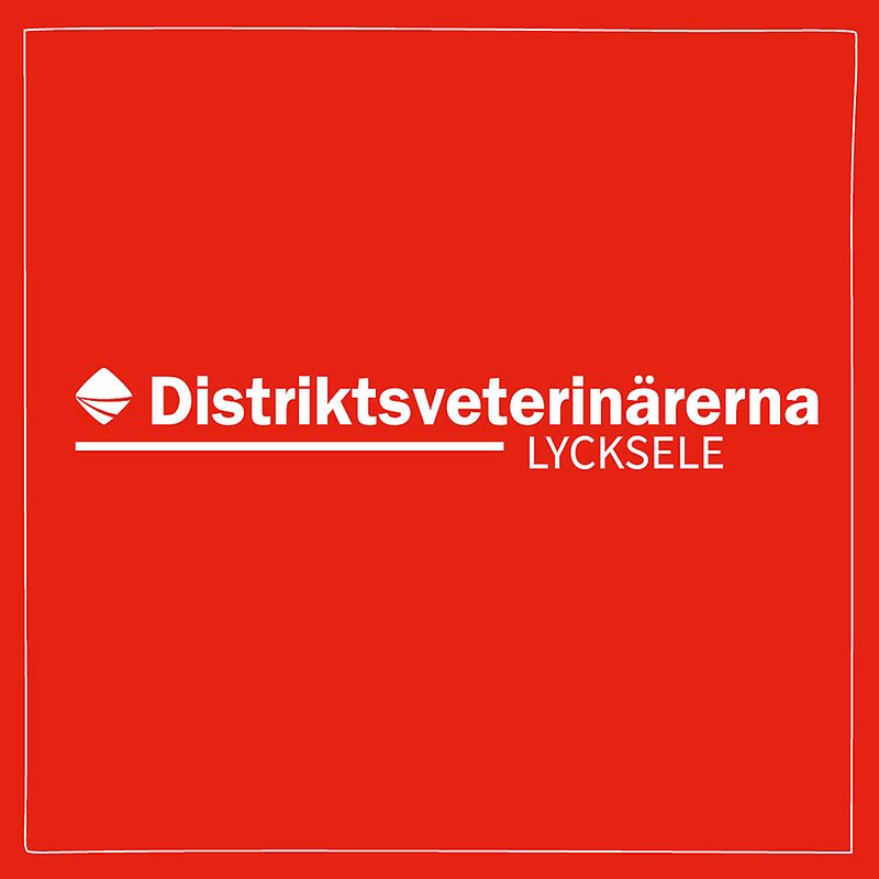 Bild med röd bakgrund och vit ram med Distriktsveterinärernas logo och texten Lycksele centrerat i mitten. 