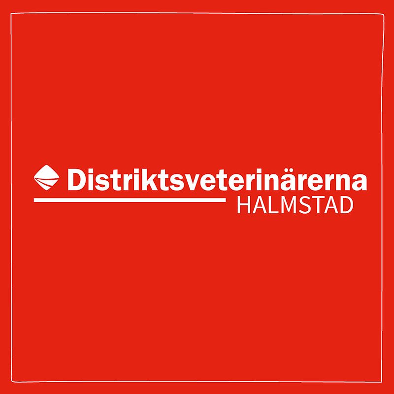 Bild med röd bakgrund och vit ram med Distriktsveterinärernas logo och texten Halmstad centrerat i mitten. 