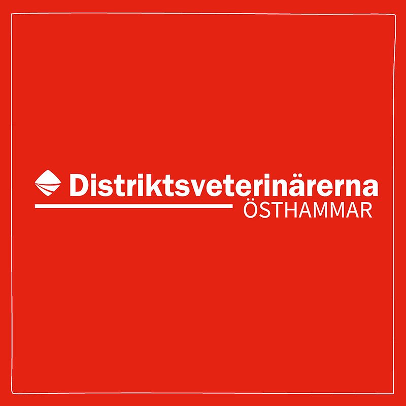 Bild med röd bakgrund och vit ram med Distriktsveterinärernas logo och texten Östhammar centrerat i mitten. 
