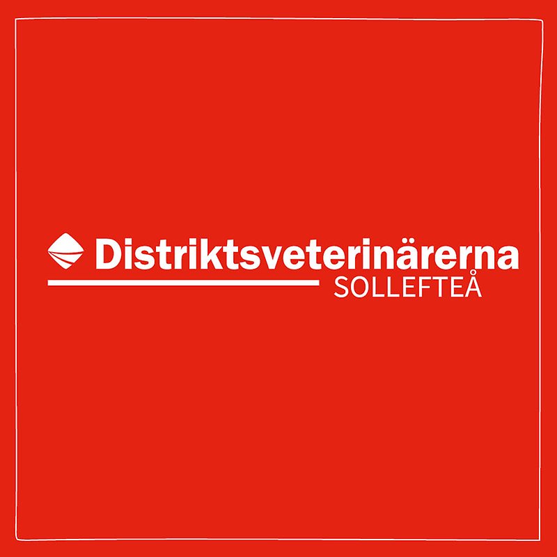 Bild med röd bakgrund och vit ram med Distriktsveterinärernas logo och texten Sollefteå centrerat i mitten. 