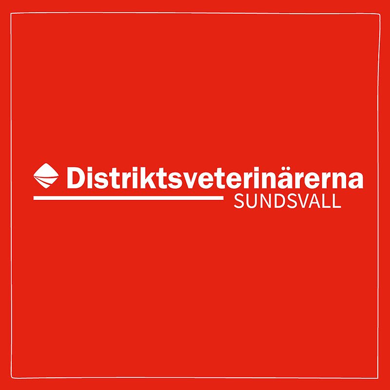 Bild med röd bakgrund och vit ram med Distriktsveterinärernas logo och texten Sundsvall centrerat i mitten. 