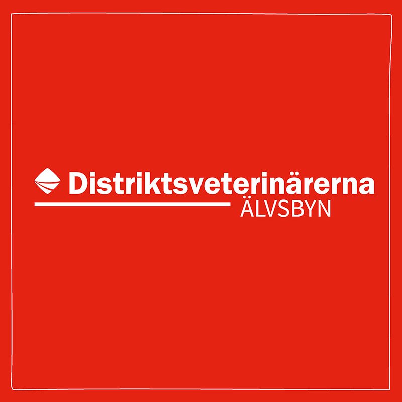 Bild med röd bakgrund och vit ram med Distriktsveterinärernas logo och texten Älvsbyn centrerat i mitten. 