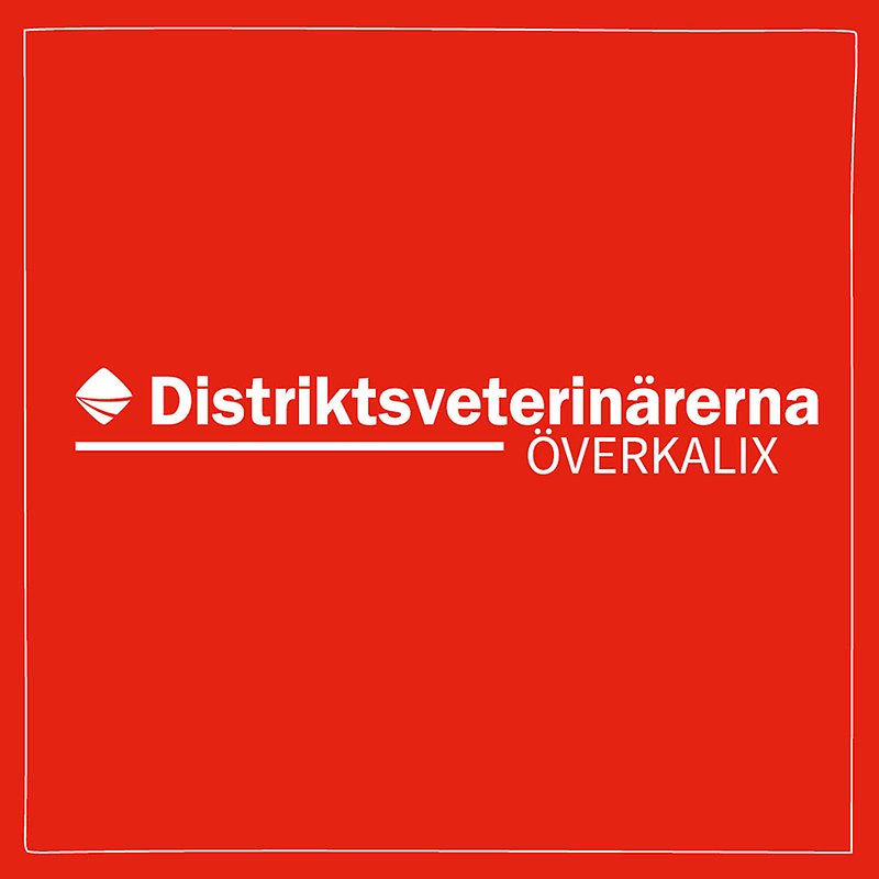 Bild med röd bakgrund och vit ram med Distriktsveterinärernas logo och texten Överkalix centrerat i mitten. 