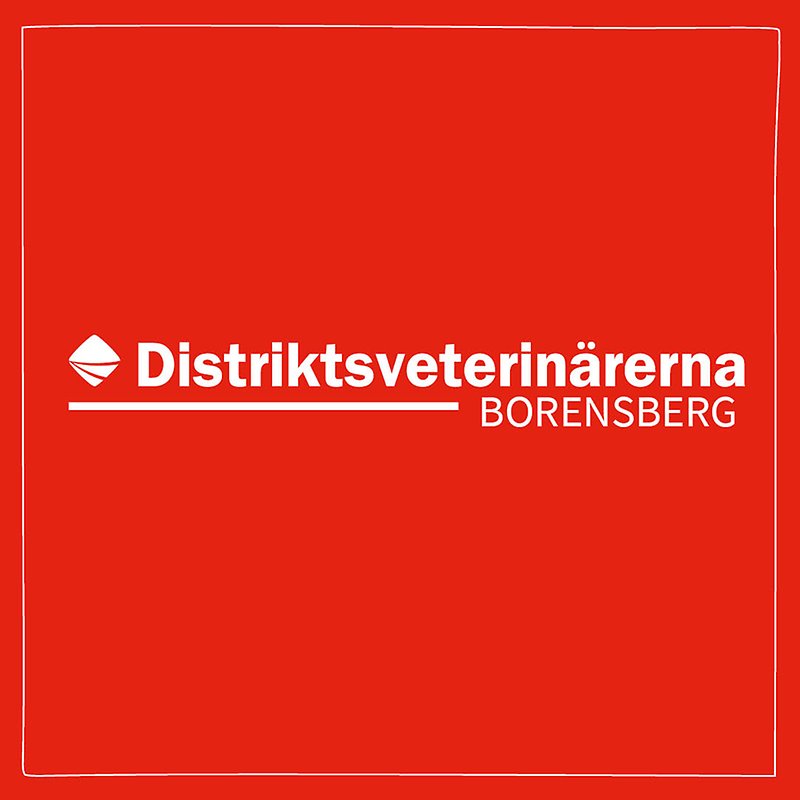 Bild med röd bakgrund och vit ram med Distriktsveterinärernas logo och texten Borensberg centrerat i mitten. 